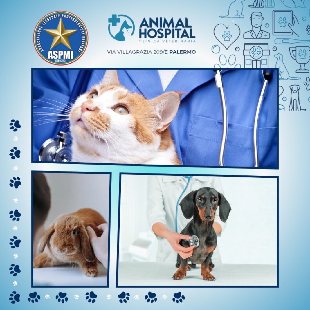 Animal Hospital - Palermo